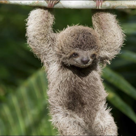 Meet your Posher, Simonne - Picture 1 of 1